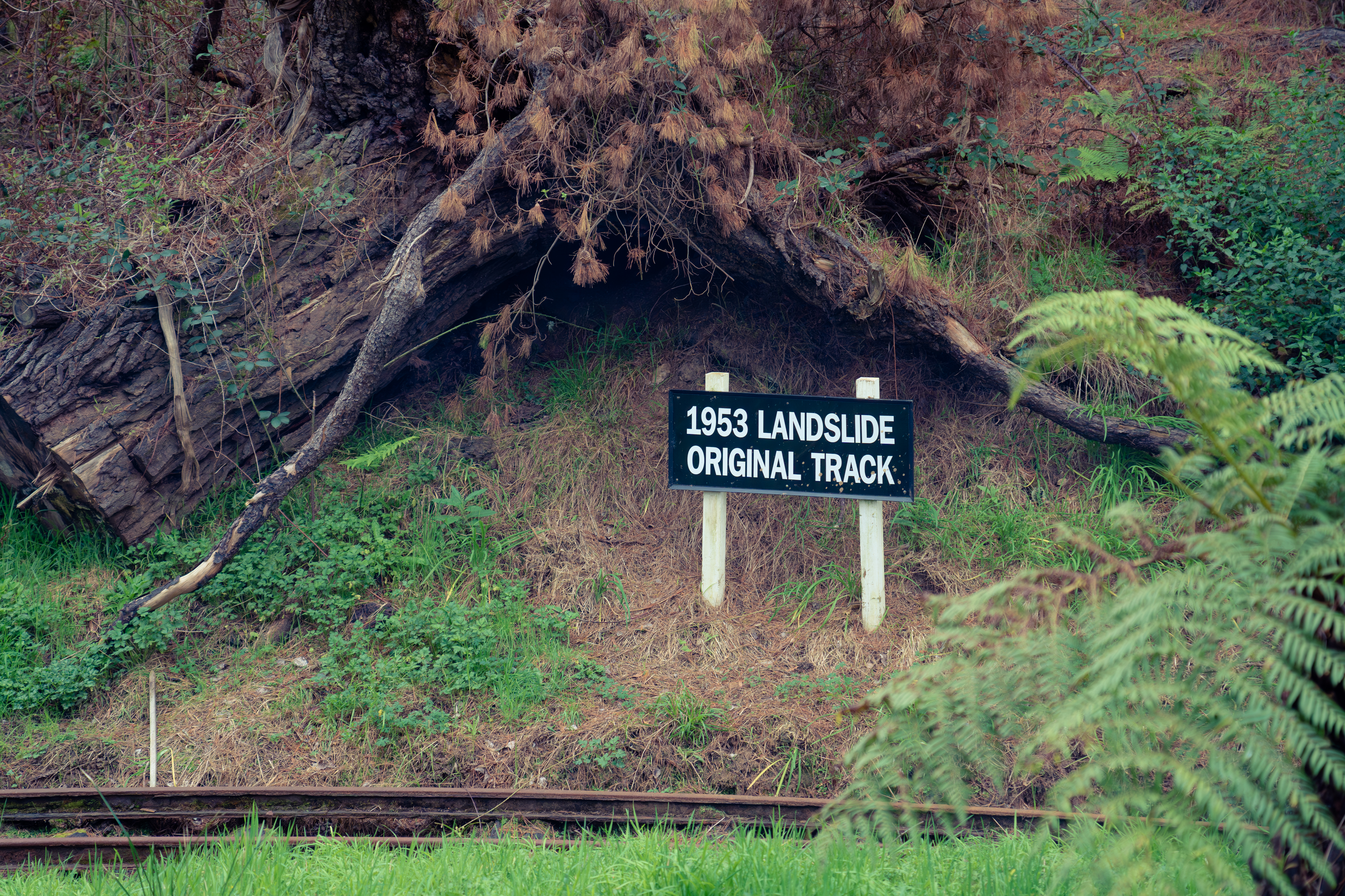 DSC00515 Enhanced NR